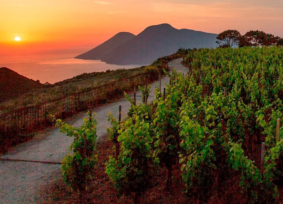 Degustazione di vini a Lipari