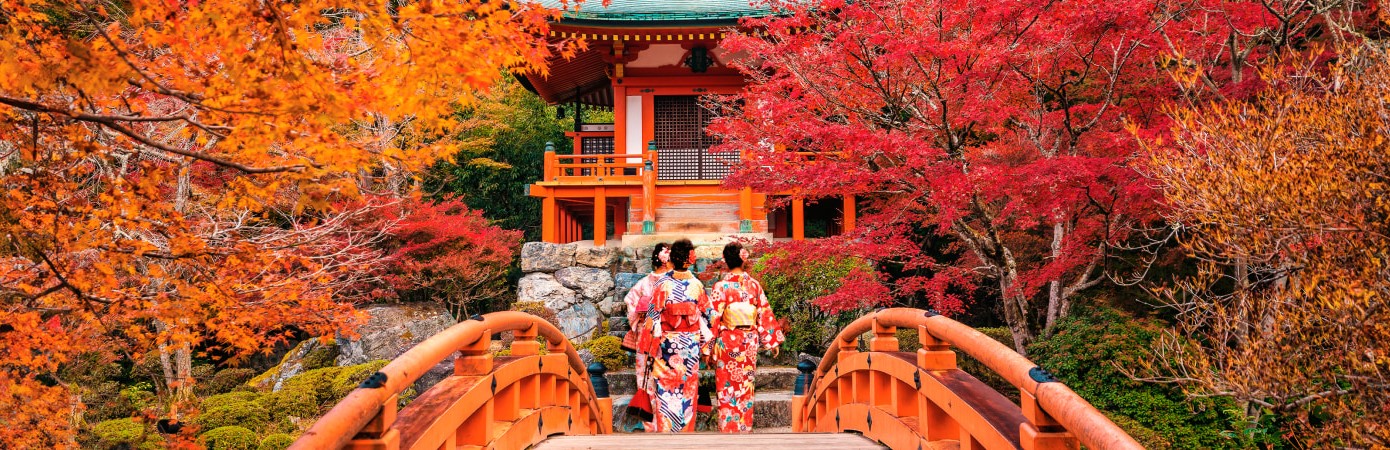 Giappone: colori d’autunno