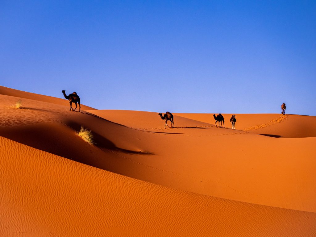 10 esperienze da fare assolutamente in Marocco a 60 anni