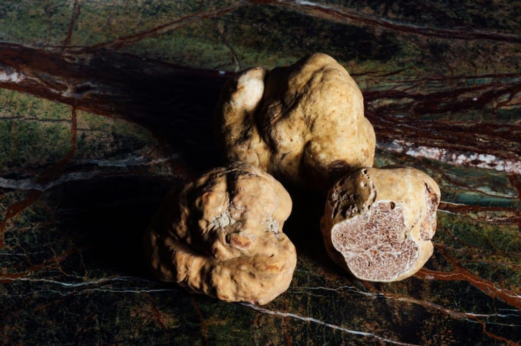 Tartufo: benefici, valori nutrizionali e controindicazioni