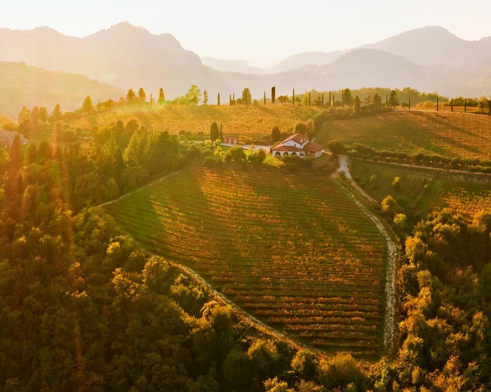 Degustazione di vini su colli Euganei