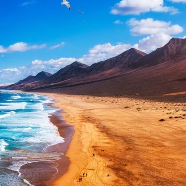 Canarie - Fuerteventura per single 50+