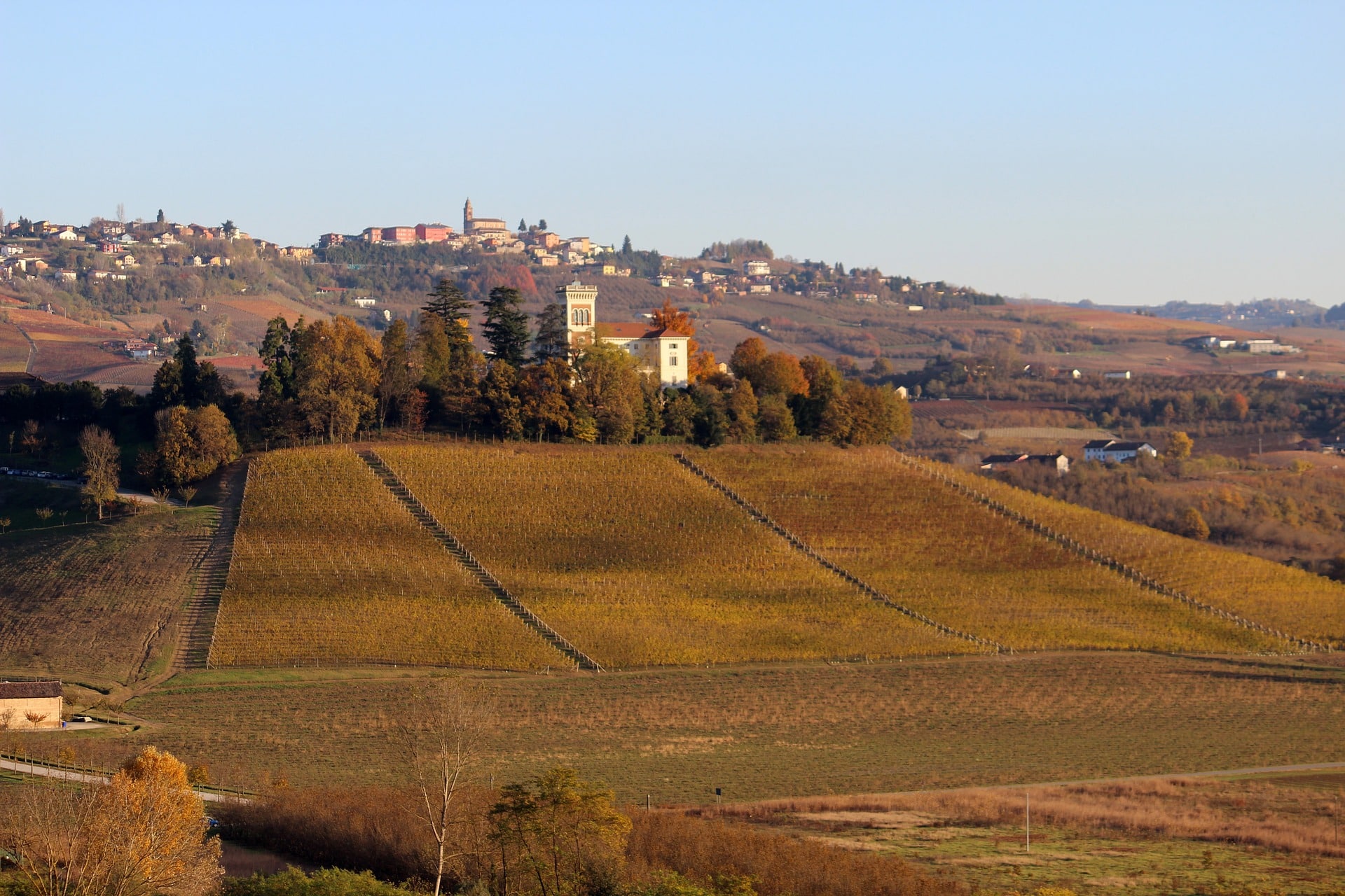 Langhe cose da vedere: 12 luoghi da visitare assolutamente