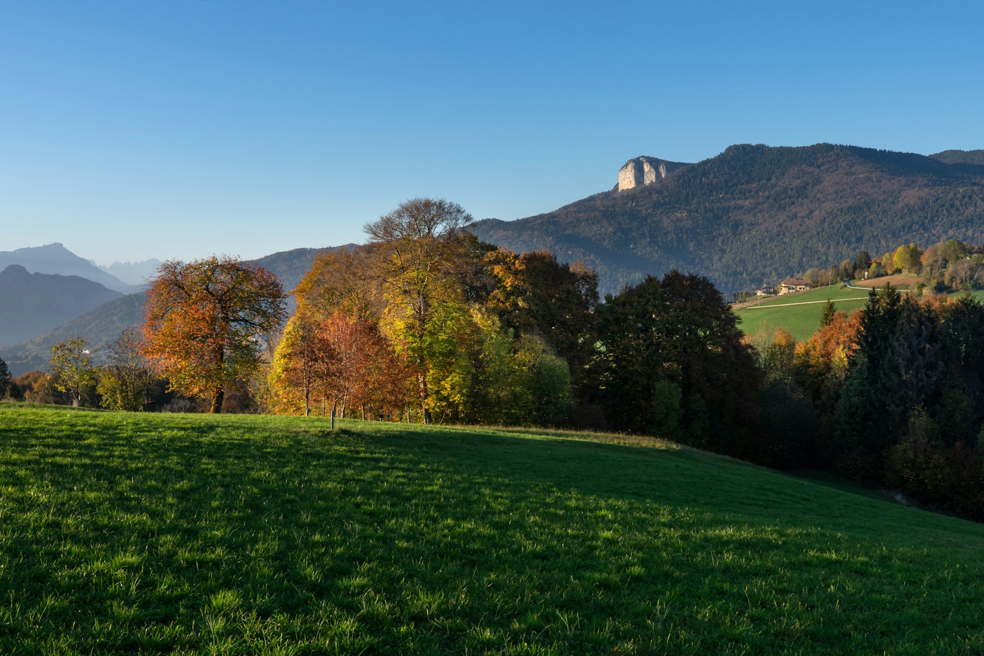 Asiago: un abbraccio di natura e gusto per le tue vacanze