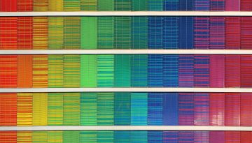 Abbinamento colori per arredare casa: consigli e regole da seguire nel 2025