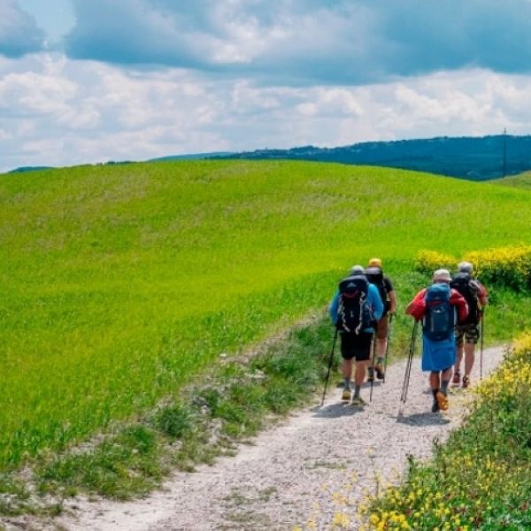 Chianti e Val d'Orcia tra trekking ed e-bike