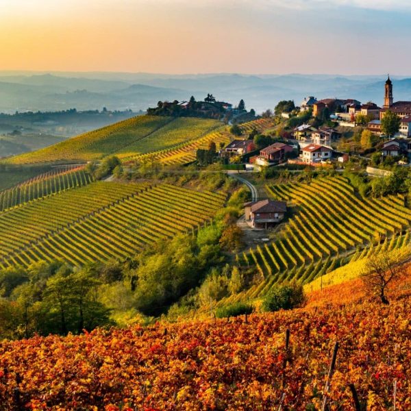 Tesori delle Langhe - Fontanafredda